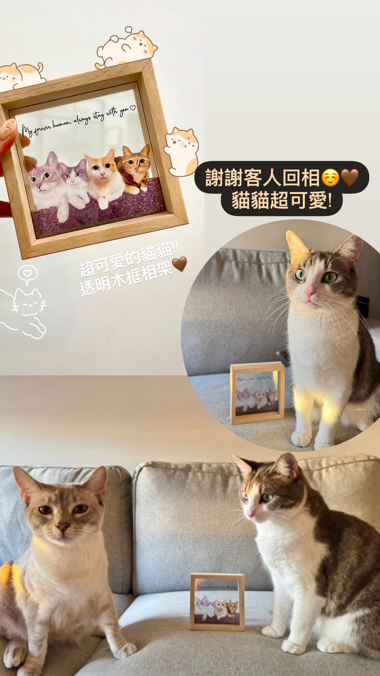 寵物畫透明木框相架