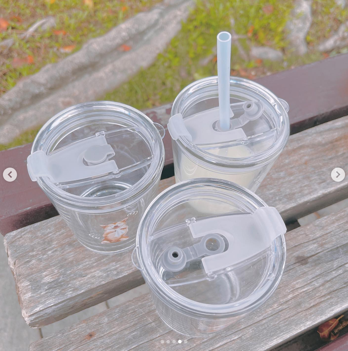 【毛孩幫忙擦玻璃系列】350ml 小玻璃杯子連蓋(送矽膠飲管)