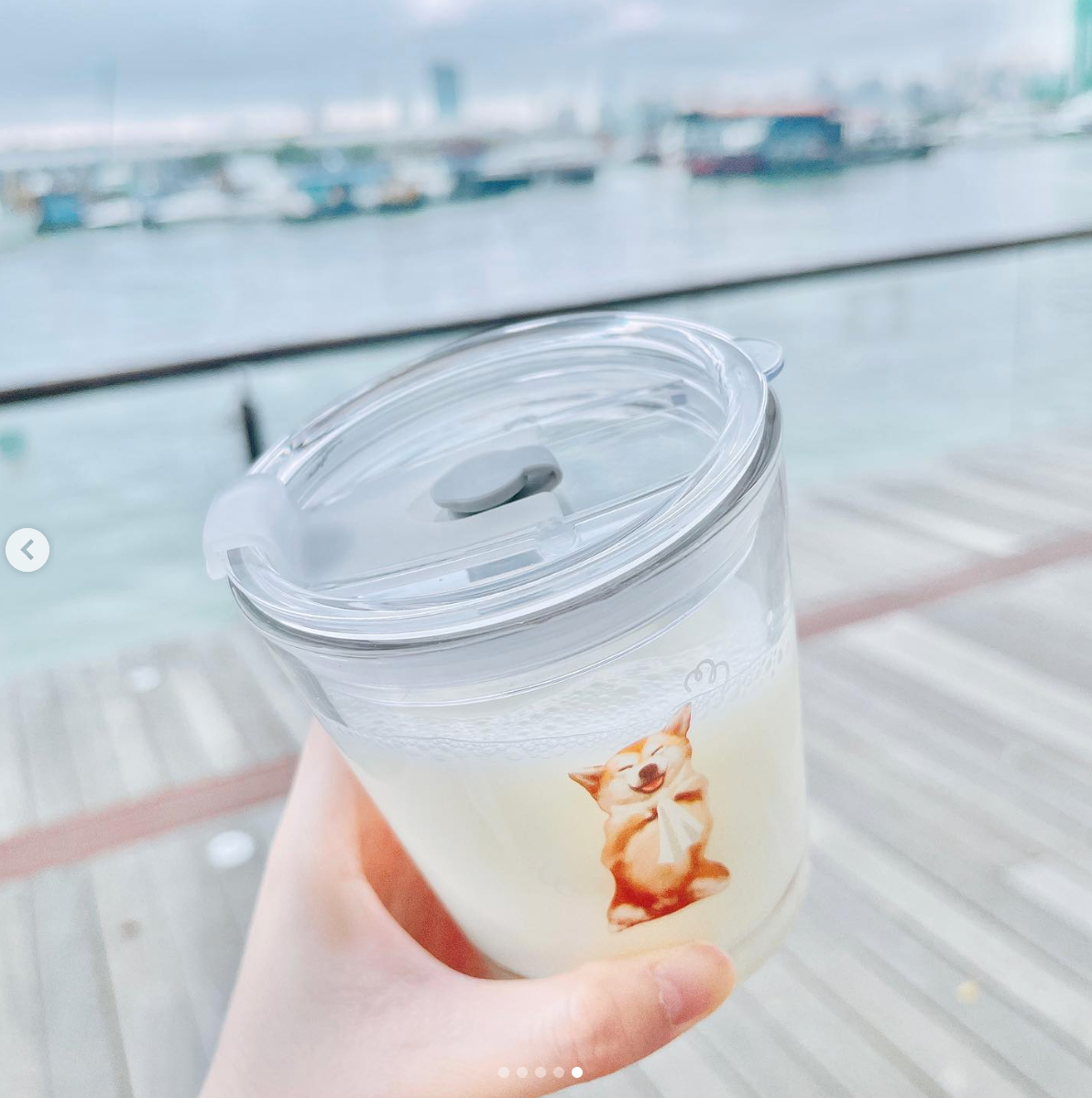 【毛孩幫忙擦玻璃系列】350ml 小玻璃杯子連蓋(送矽膠飲管)